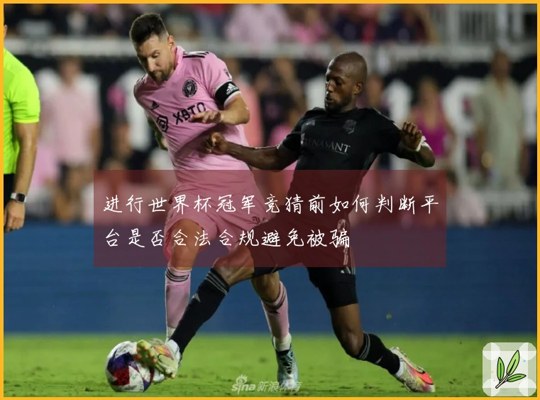 进行世界杯冠军竞猜前如何判断平台是否合法合规避免被骗