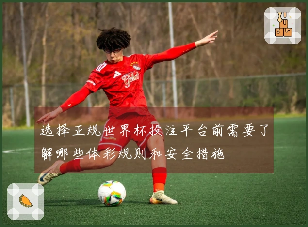 选择正规世界杯投注平台前需要了解哪些体彩规则和安全措施